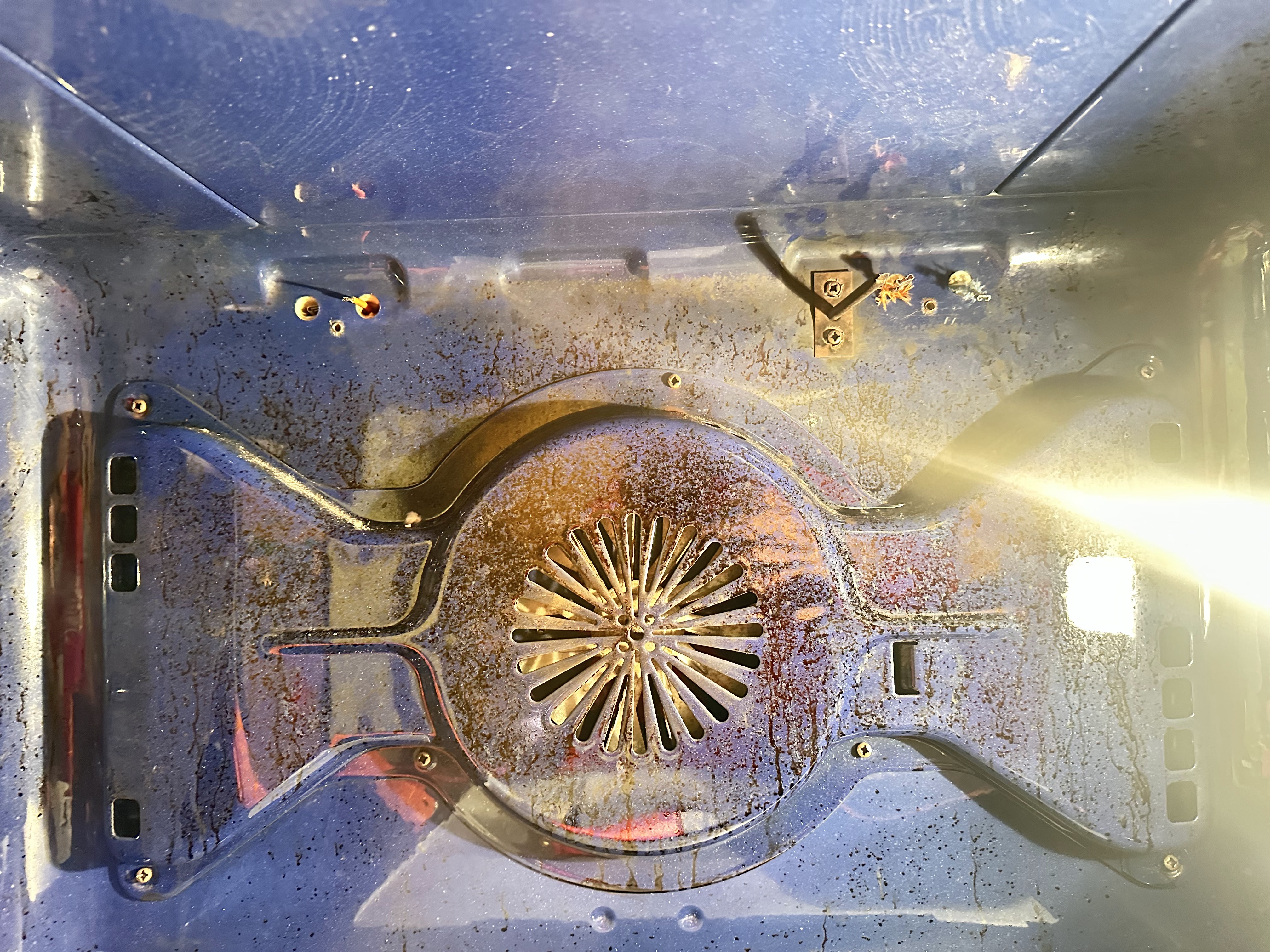KitchenAid oven interior inspection during heating element and thermostat diagnostics