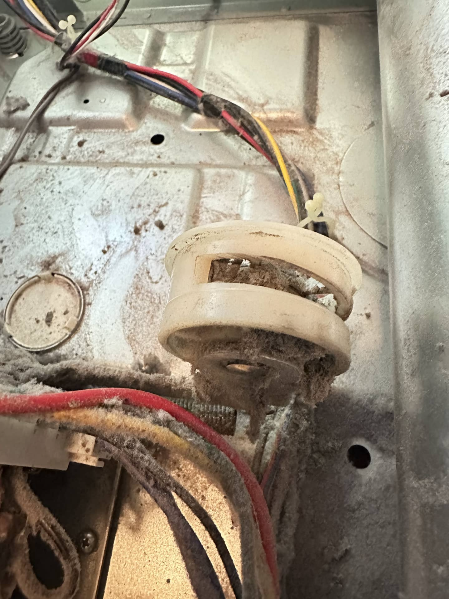 Faulty dryer component inspection during Samsung dryer repair in Sammamish, WA